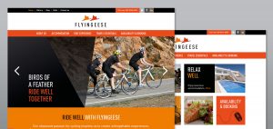 Flyingeese website visuals