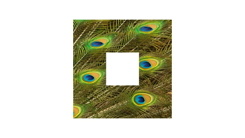 services-branding services-branding